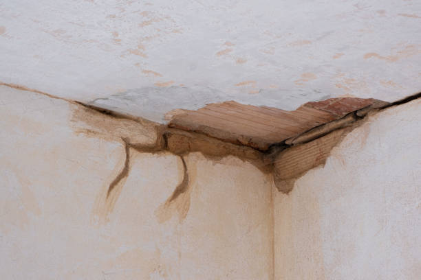 Best 24/7 water damage repair  in Wenatchee, WA