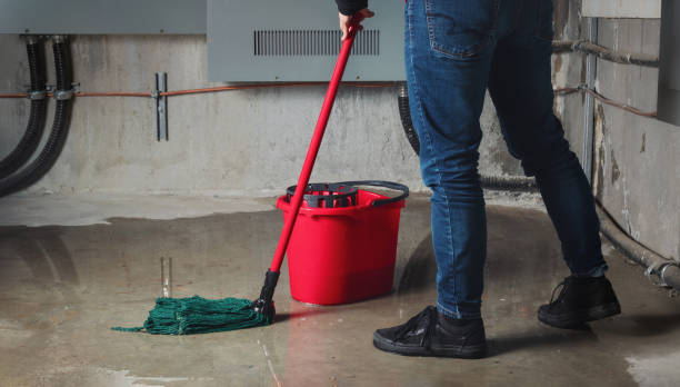 Best Ceiling water damage repair  in Wenatchee, WA