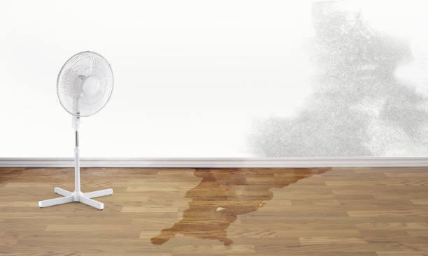 Best Fire Damage Restoration  in Wenatchee, WA