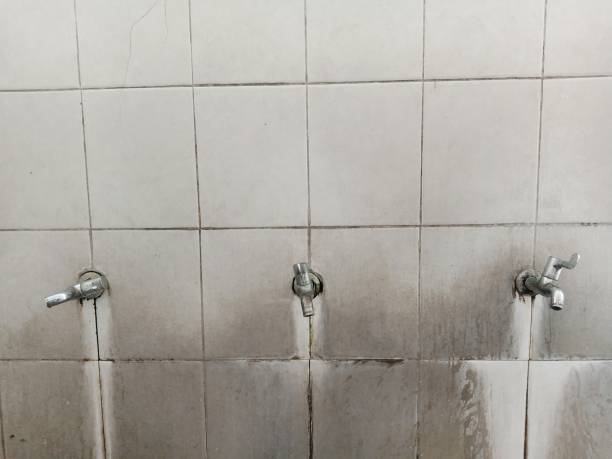 Best Emergency water extraction  in Wenatchee, WA