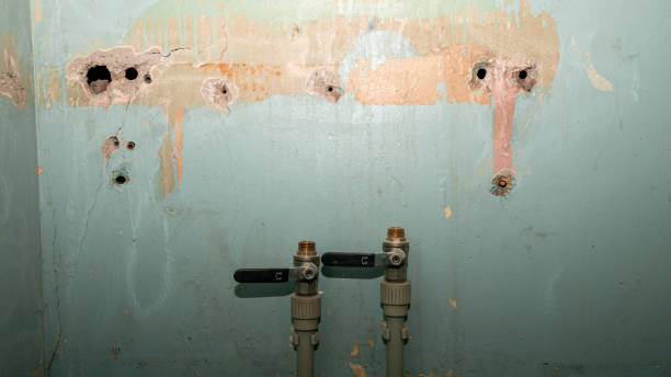 Best Commercial water damage restoration  in Wenatchee, WA