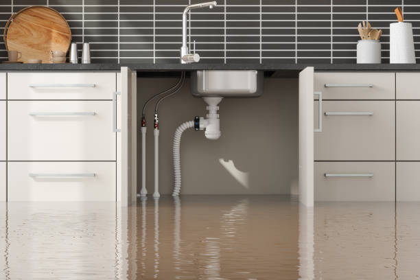 Best Water damage restoration near me  in Wenatchee, WA