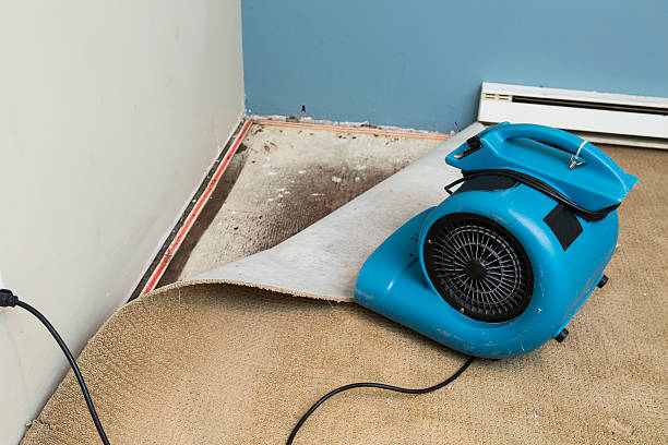 Best Emergency water damage restoration  in Wenatchee, WA